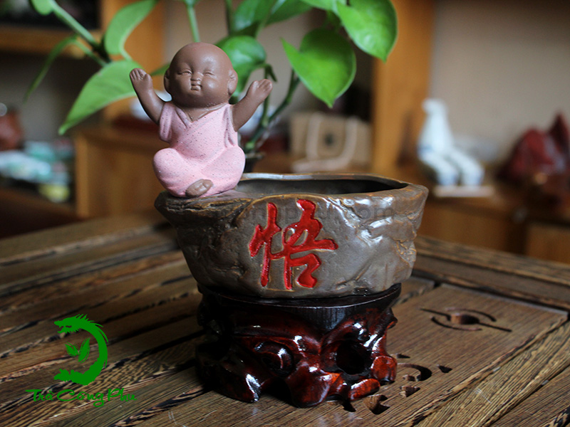 Chậu Trồng Cây - TC06